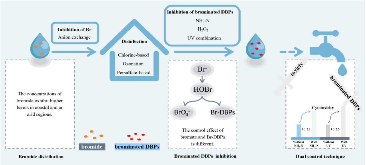 溴化物相关溴化消毒副产物的生成、毒性及控制策略